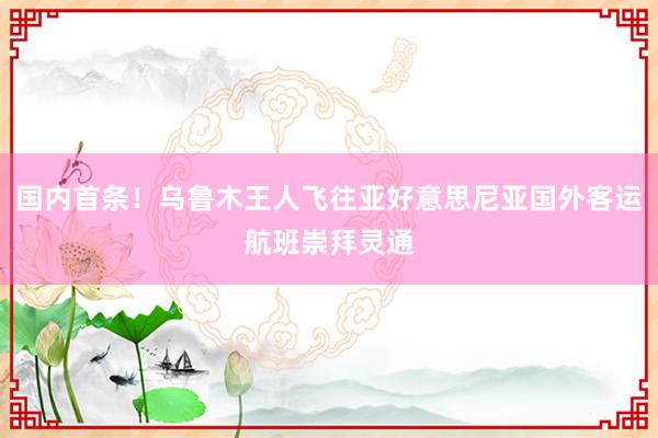 国内首条！乌鲁木王人飞往亚好意思尼亚国外客运航班崇拜灵通